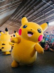 pexels-mentatdgt-1049622